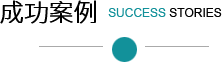 成功案例
